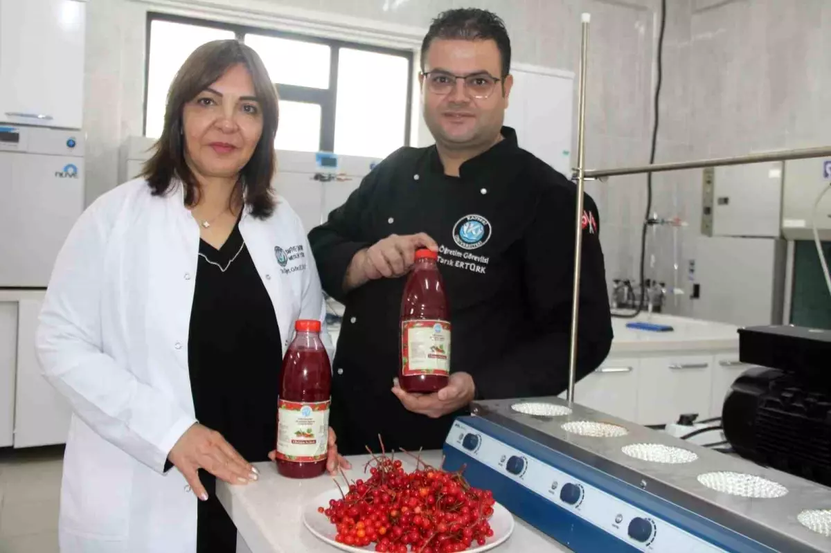 Gilaburu Şerbetine Patent Başvurusu