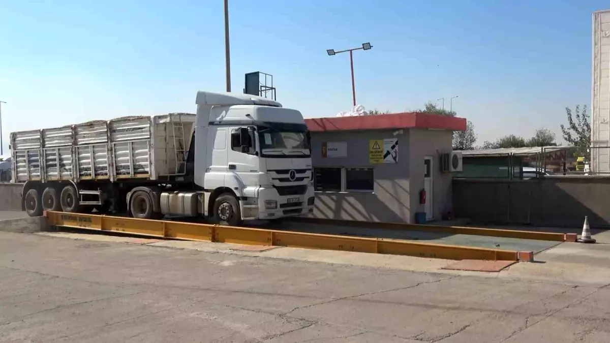 Silopi’de Yer Fıstığı İşleme Tesisi Kuruldu